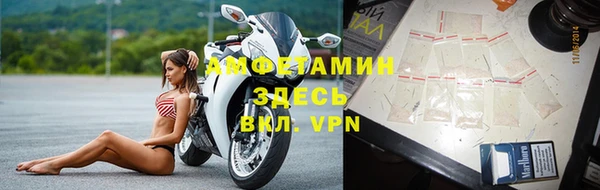 крисы Алзамай