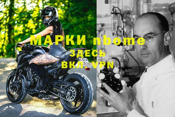 крисы Алзамай