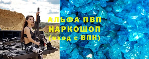 дмт Пересвет