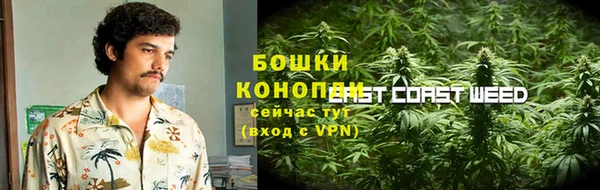 крисы Алзамай