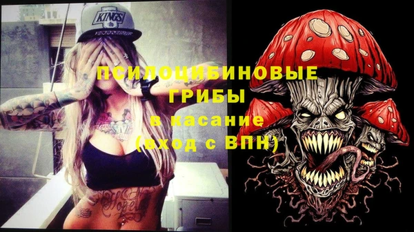 крисы Алзамай