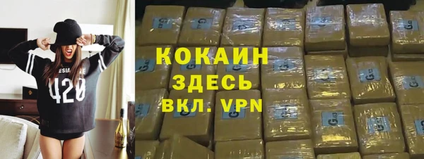 крисы Алзамай