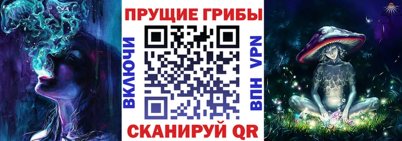 как найти   Амурск  Галлюциногенные грибы Magic Shrooms 